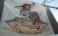 Guidelines and Camp info